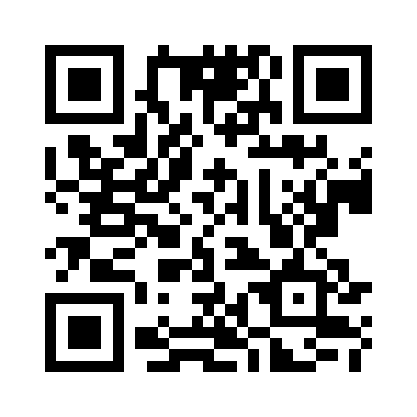 Veena Studios Master QR Code